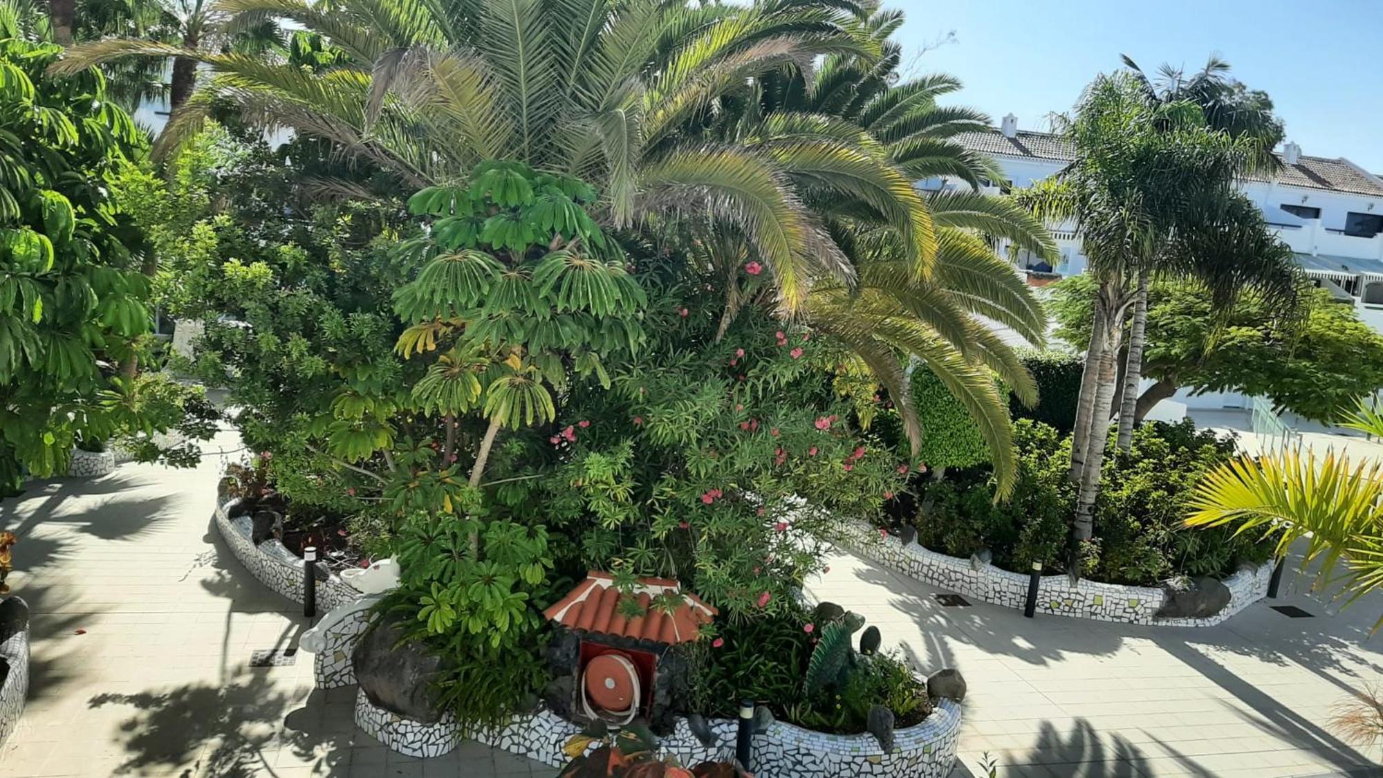 Blue Bay Paradise - Beach Front Apartment With Sea View Playa Paraiso  Dış mekan fotoğraf